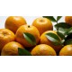 Orange Fresh 80-88CT/Case