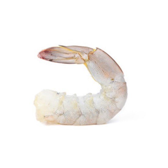 26-30 Shrimp (Ecuador)-Tail-off-20LB/Case