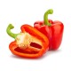 Pepper Bell Red 20-25LB/Case
