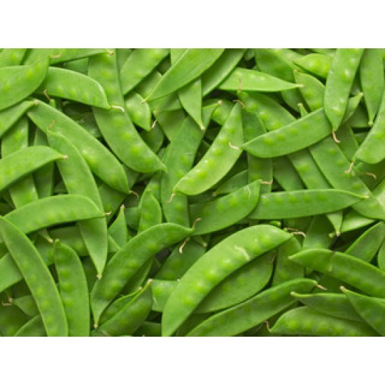 Snow Peas / Case