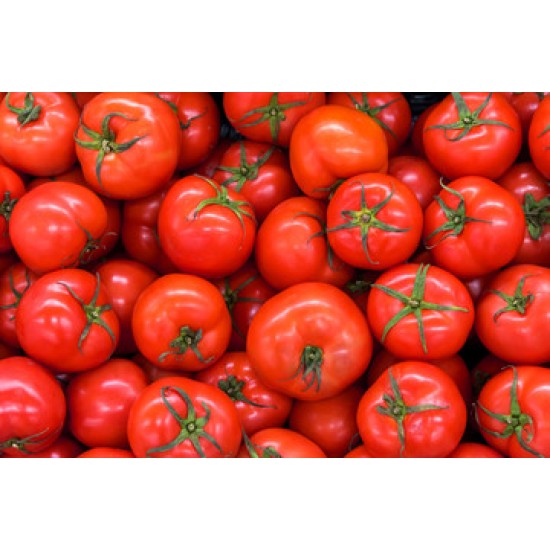 Tomato Roma Large 25LB/Case