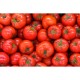 Tomato Roma Large 25LB/Case