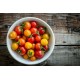Vege--Baby Heirloom Tomatoes (Packer) 12x10 Oz Case