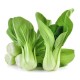 Vege--Baby Bok Choy Cabbage (Packer) 1x10 LB Case
