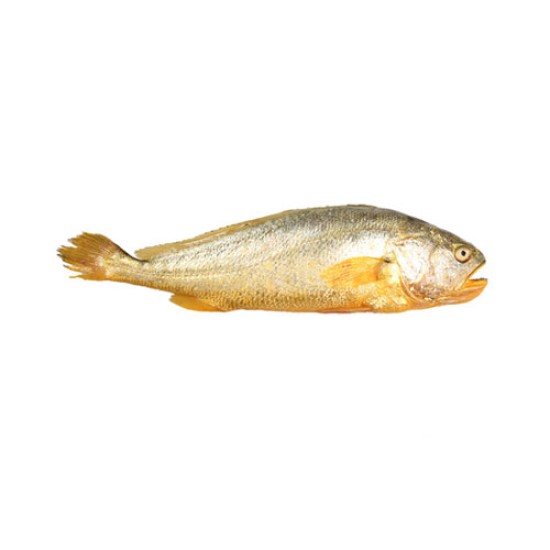 Yellow Croakers (Frozen) - 10LB/Case