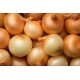 Onion Yellow Jumbo-50LB/Bag