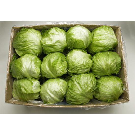 Lettuce Fresh Iceberg-24CT/Case