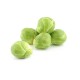 Brussels Sprouts/Case