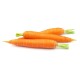 Carrots -50LB/Bag