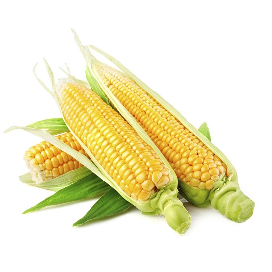 Corn, Yellow/Case