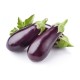 Eggplant/Case