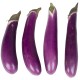 Eggplant, Chinese / Case