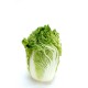 Cabbage, Napa/Case