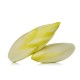 Endives, White/Case