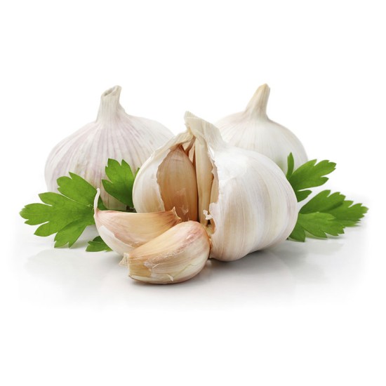 Garlic / Case