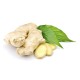 Ginger / Case