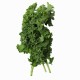 Kale / Case