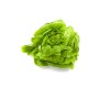 Lettuces, Boston / Case