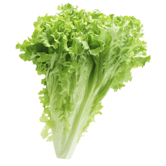 Lettuces, Green Leaf / Case