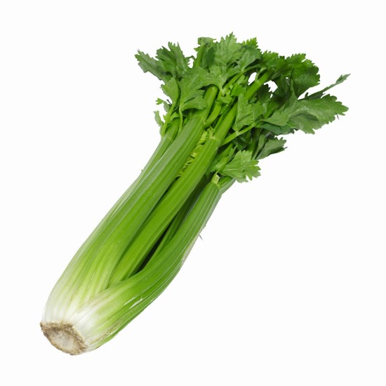 Celery Fresh 24CT/Case