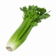 Celery Fresh 24CT/Case