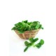 Lettuces, Mache / Case