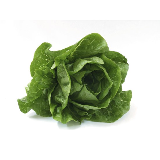 Lettuces, Romaine / Case