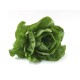 Lettuces, Romaine / Case