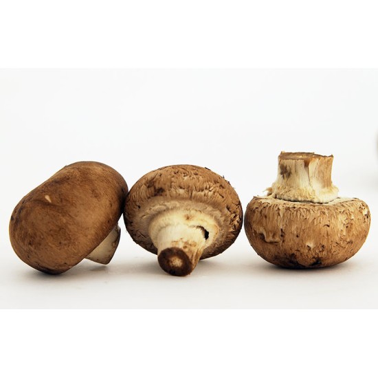 Mushrooms, Crimini / Case