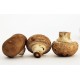 Mushrooms, Crimini / Case
