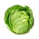 Cabbage, Green 50LB/Bag