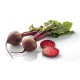 Beets, Red with Tops/Case