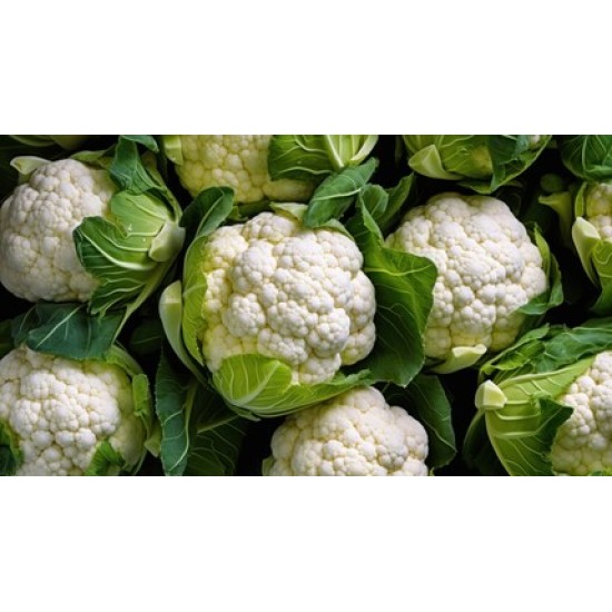 Cauliflower/Case