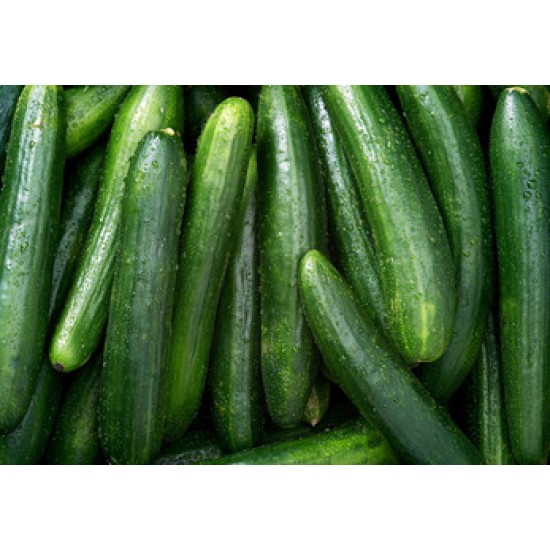 Cucumbers/Case
