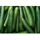 Cucumbers/Case