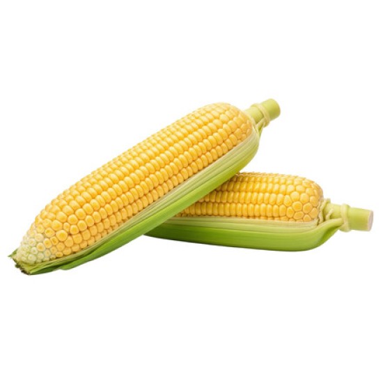 Corn, Yellow/Case