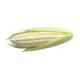 Corn, White/Case