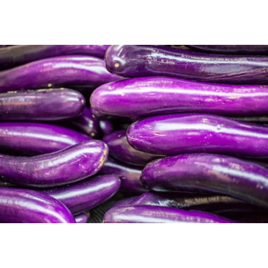 Eggplant, Chinese / Case