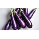 Eggplant, Japanese/Case