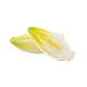 Endives, White/Case