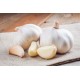 Garlic / Case