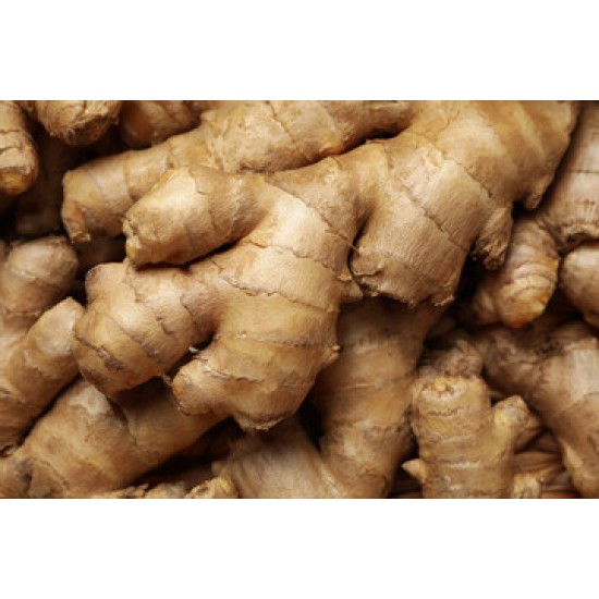 Ginger / Case
