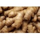 Ginger / Case