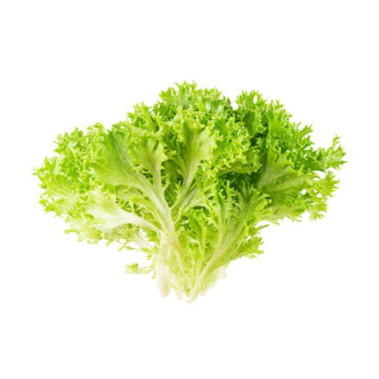 Lettuces, Frisee / Case