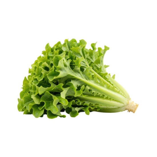 Lettuces, Green Leaf / Case