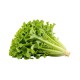 Lettuces, Green Leaf / Case