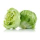 Lettuces, Iceberg / Case