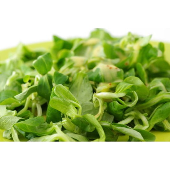 Lettuces, Mache / Case