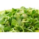 Lettuces, Mache / Case