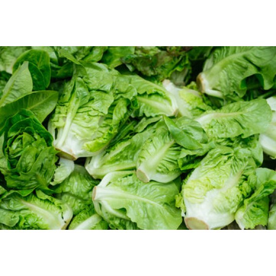 Lettuces, Romaine / Case